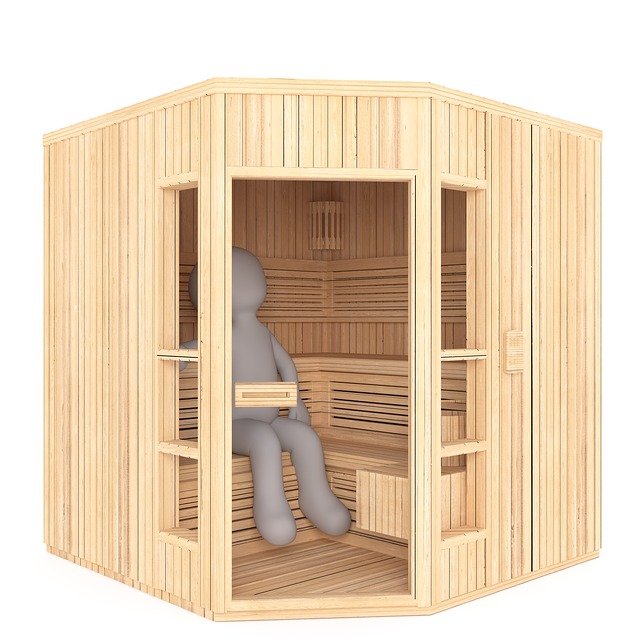 Sauna se vleze i do bytu